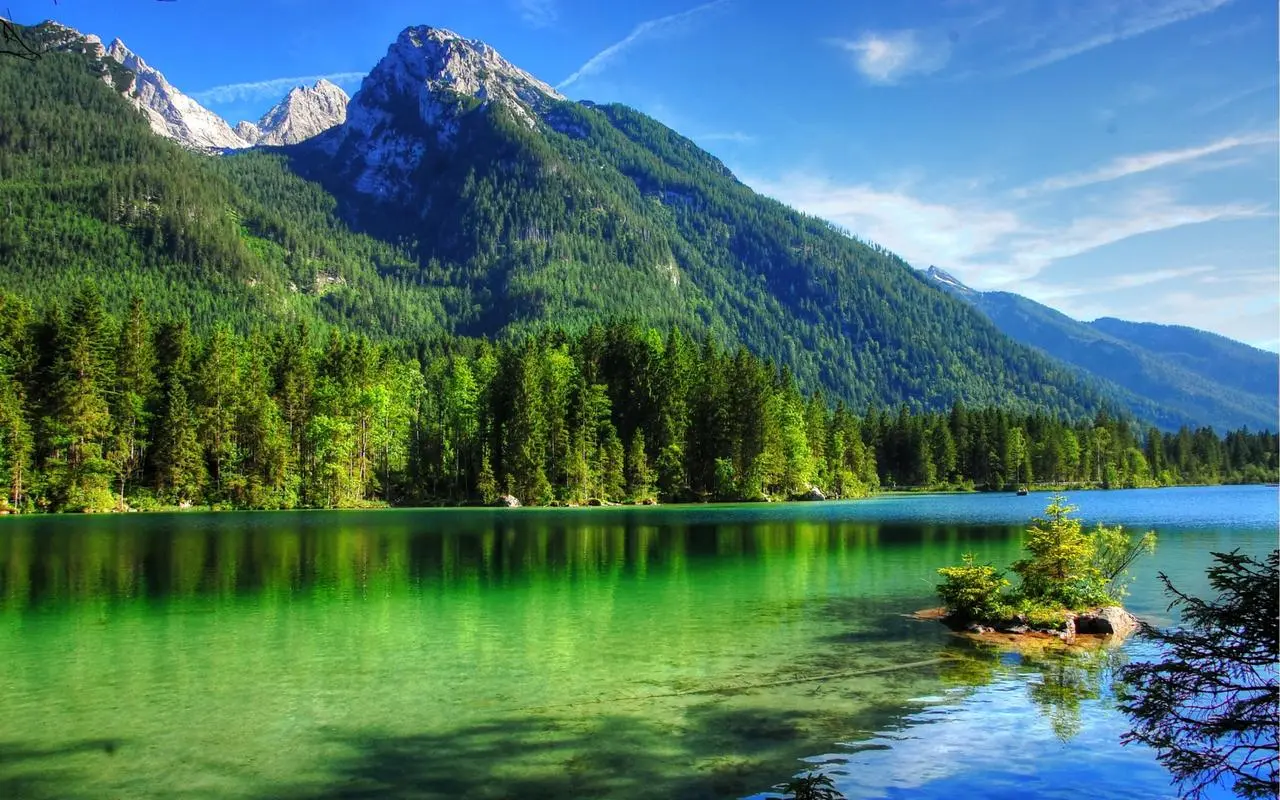 创新先进